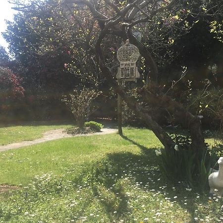 La Pallanzotta Βερμπάνια Εξωτερικό φωτογραφία