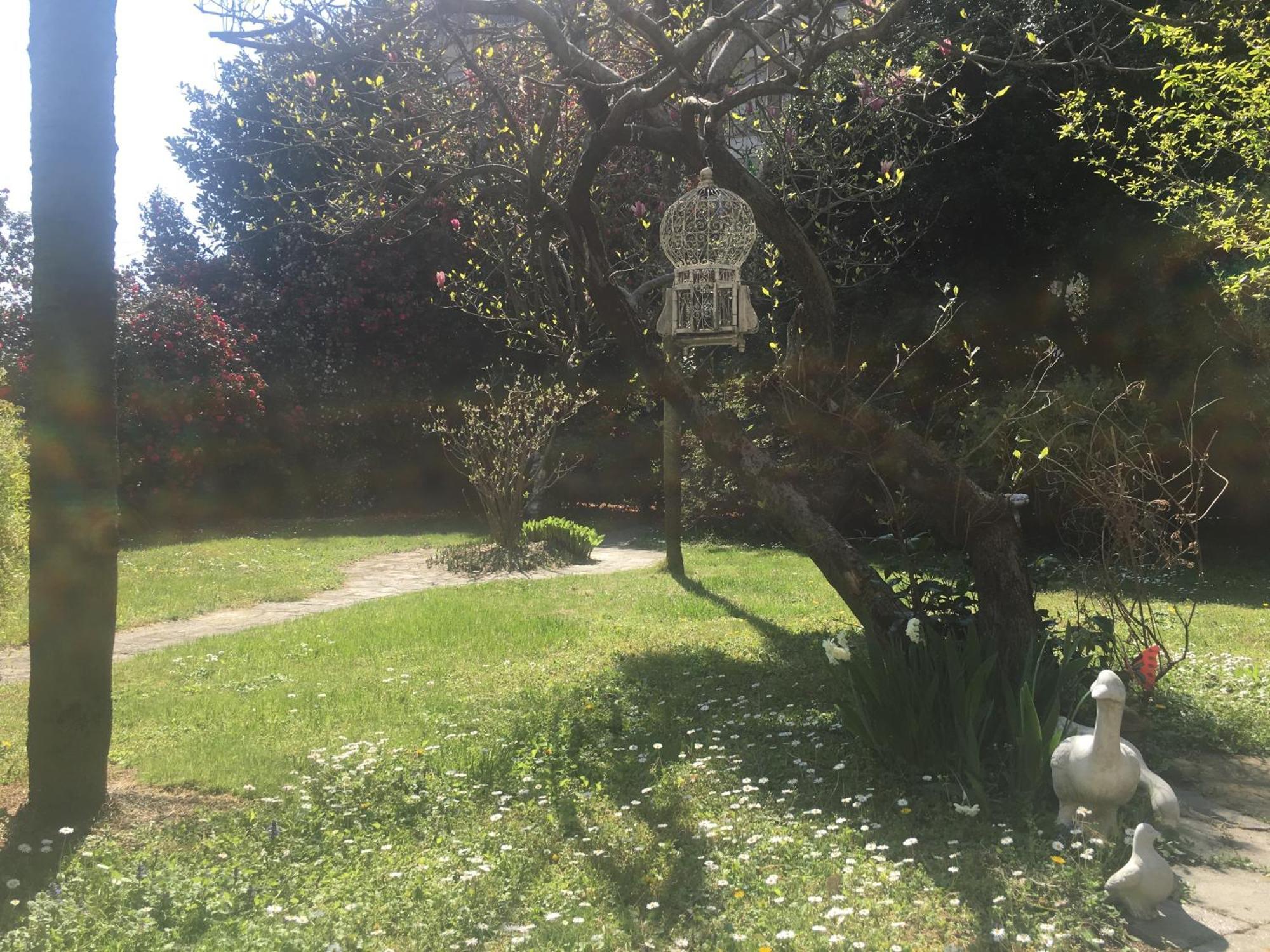 La Pallanzotta Βερμπάνια Εξωτερικό φωτογραφία